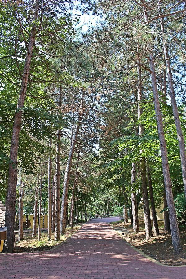 Duni Village Complex